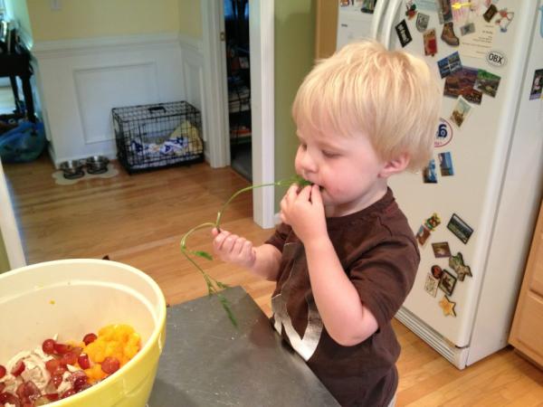 ericaspangler's tweet image. While helping me make chicken salad for dinner, El tried some dill. He is now on stick #2. Yum!