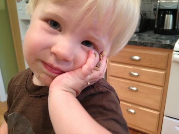 ericaspangler's tweet image. And now onto sunflower seeds (look at hand)