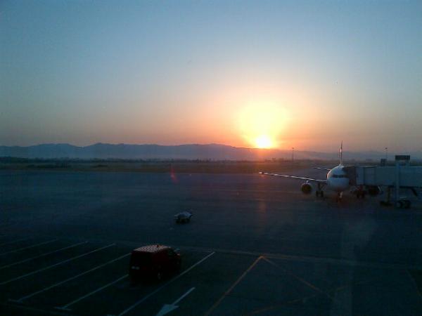 Cameron McKeown tweet media