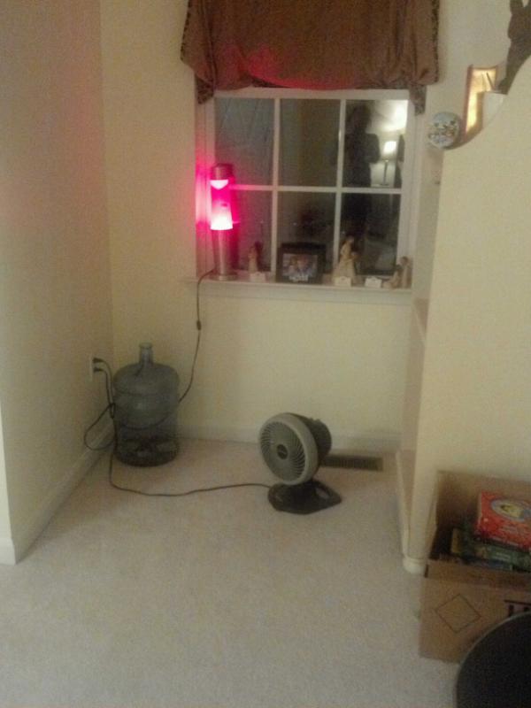 JennaRae30's tweet photo. Cool lava lamp http://t.co/2bWziM7E