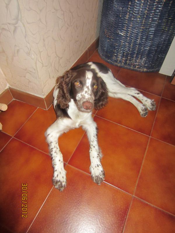 SharonPais's tweet photo. Ciao, sei bello, ciao. ♥ http://t.co/TS6nf3yd