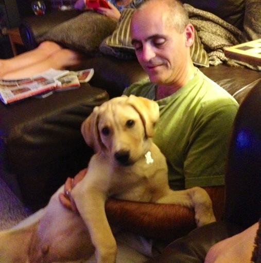 TuckProblems's tweet image. I&apos;m the best 30 pound lap dog around #spoileddoglife