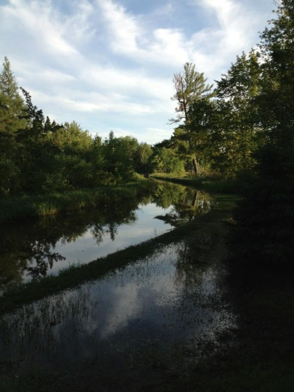 aaronh2's tweet photo. Sheshebee Road, MN. After the 100 year rain. http://t.co/m1YfGGzL