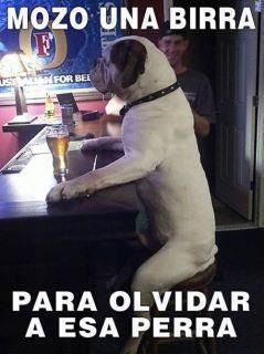 cfrancolibert's tweet photo. http://t.co/3XIby1U2