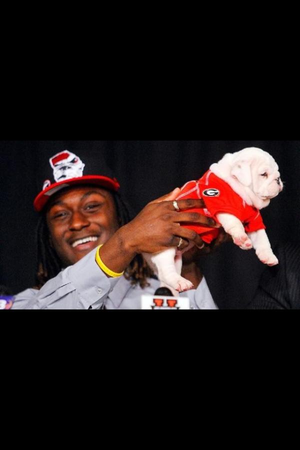 neilneilson's tweet image. @Nick_Glass24 Is that puppy full of weed and guns? #dirtyprogram #longestyard3 #gogators #IsaiahCrowell