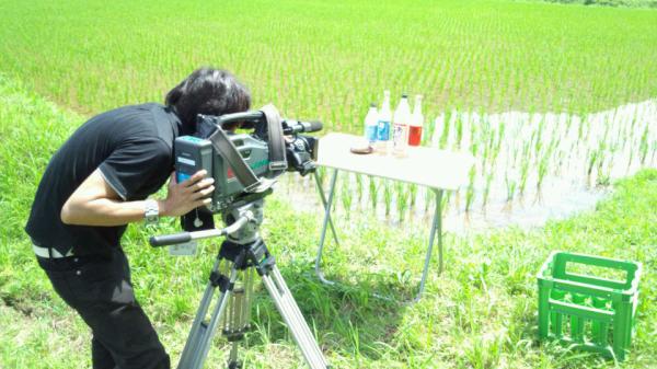 今日はOBSさんが夏の甘酒の取材に来てくれました。#obs #amazake