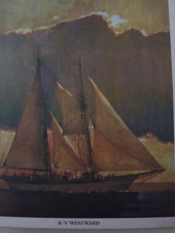 Pistachio's tweet photo. i still miss her (and the sea) like crazy... R/V Westward (who was SSV Westward when i was her Steward) #OpSail http://t.co/XNxiZSDd