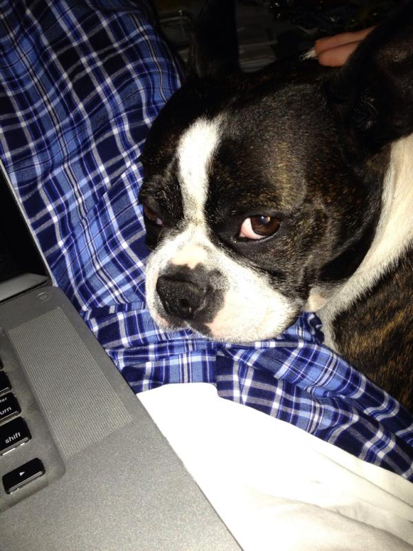 “<a href="/BethStern/">Beth Ostrosky</a>: Stop staring at me. ” That means you too..