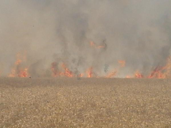 guhg23's tweet photo. Foto del foc agricola aquesta tarde a vic http://t.co/3mpjdSqr