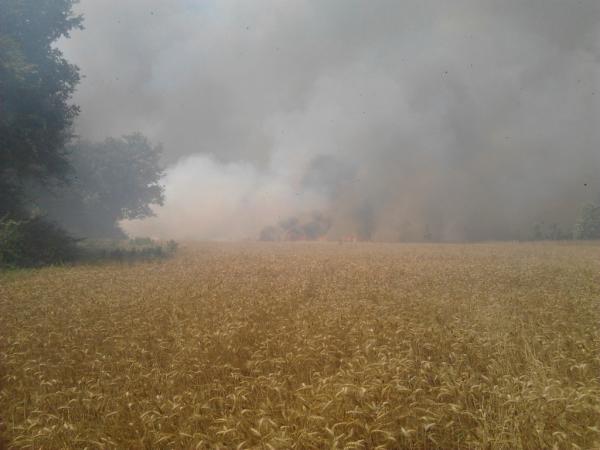 guhg23's tweet photo. Una altre foto del foc de vic http://t.co/cNtqKexq