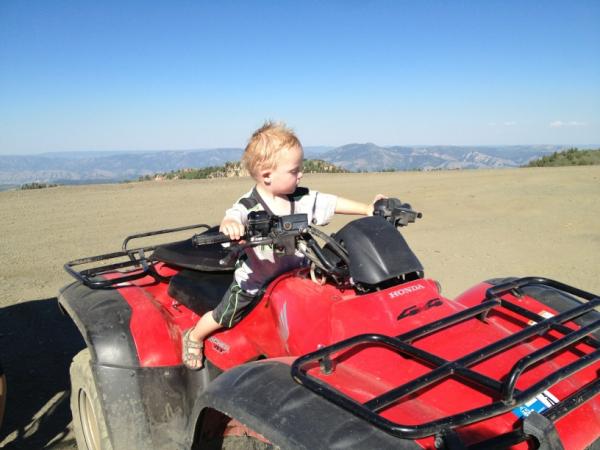 StephenTippets's tweet image. Branson on top of Inspiration Point. What a fun ride!