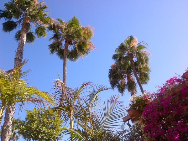 HelloMohawk's tweet image. Will miss sun &amp;amp; skyline views bt La-La land has limitations if you don&apos;t have own motor; proper petrol guzzling county.