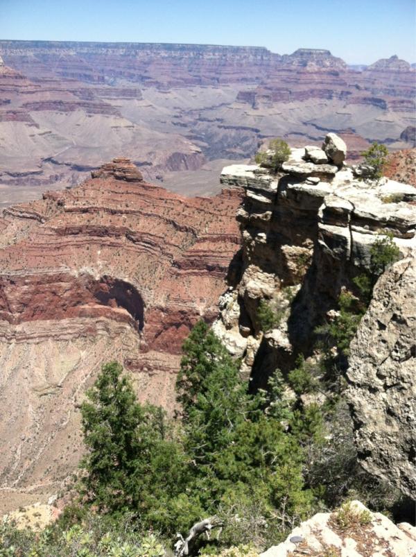 MickeyMLee's tweet image. Pretty good day #naturalworldwonders