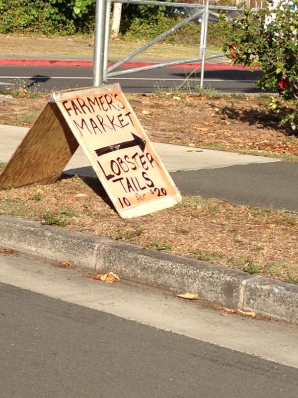 Promising sign that freediving for lobster would be be worthwhile here.