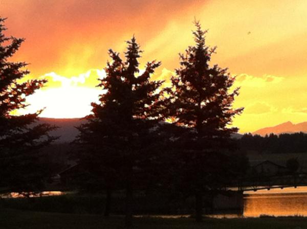 rtiest's tweet image. 