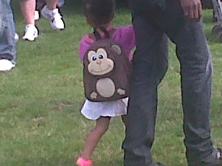 karenharewood's tweet image. @all_things_TC spotted this morning - could be Aidan's soulmate? #monkeybag