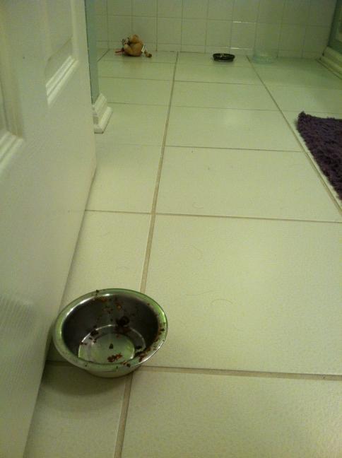 PGbrokerofyear's tweet photo. Guess Nylah wanted more- she moved the bowl across floor for me to see! Smart cat!! @Jessewelle @PhillyChic5 #bfvsgf http://t.co/nDNf1Bxi
