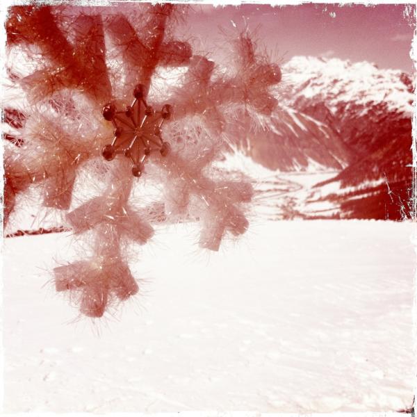 Meesette's tweet photo. Wish we were in Livigno for the celebration @ Miky's http://t.co/PRtC8MlQ