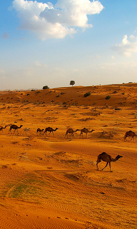 Mathews522's tweet image. 