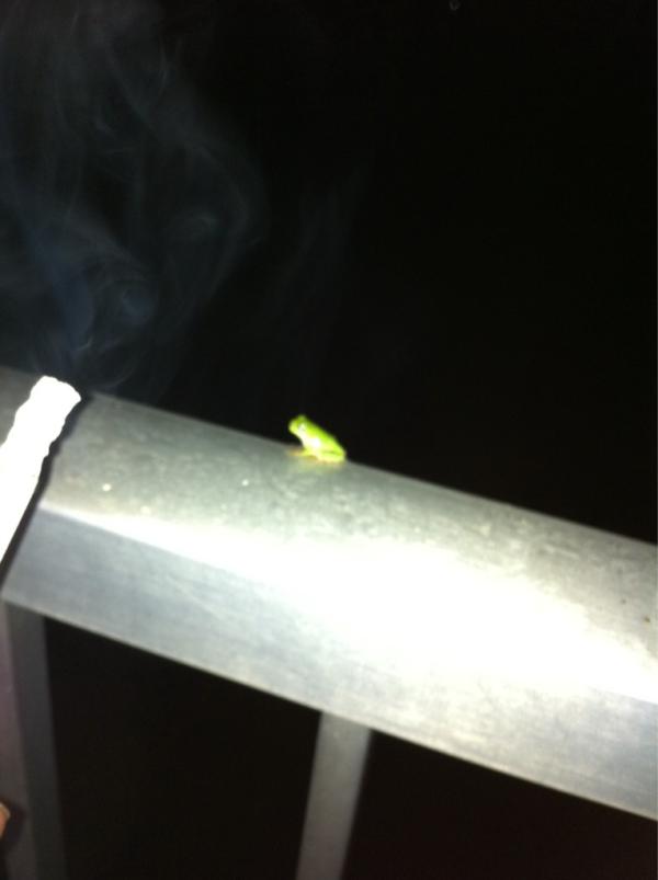 ウチ！4階…。
しかも…チビΣ（ﾟдﾟlll）