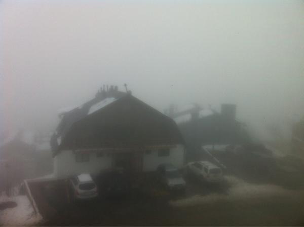 Pili Soffia tweet media