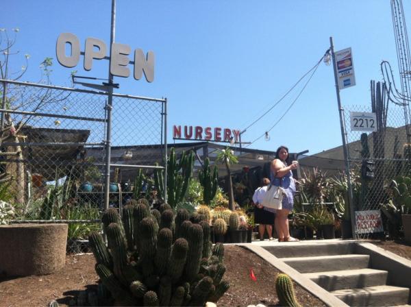 Jaberiman's tweet image. Killer cacti and stuff #nopublicrestroom