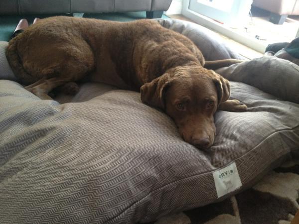 Tom Felton tweet media