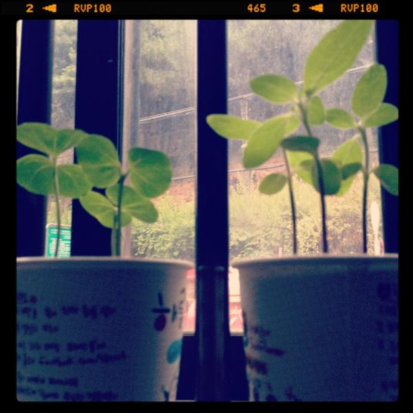Raiomin's tweet photo. 몇일만인지... 아니 몇주만인가..? ㅡㅡ; http://t.co/9COTZT4