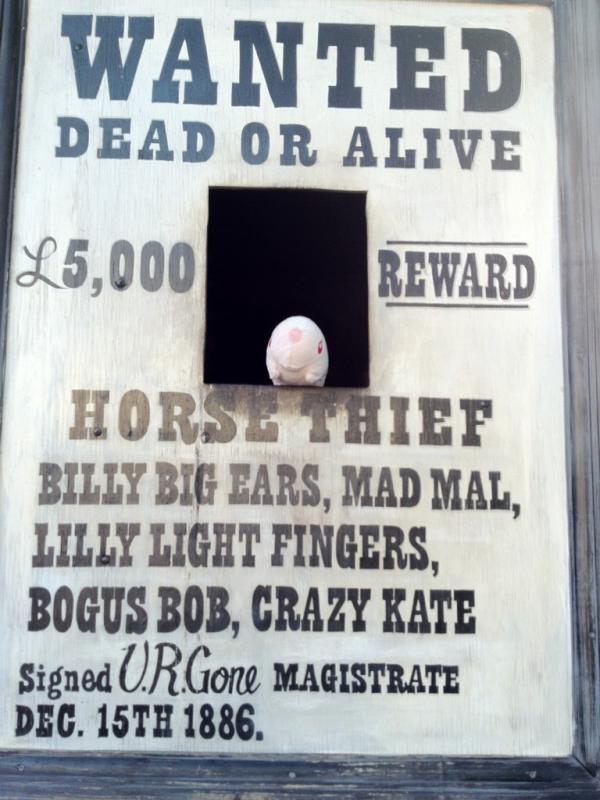 Munna697's tweet photo. We're at DreamWorld today! I am wanted haha :) http://t.co/uhEfC3Wi