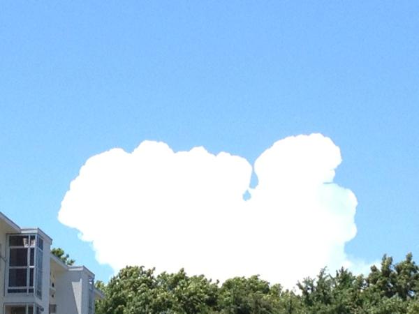 OMODOC's tweet photo. まなつの入道雲のこどもだワン。カナトコ雲になりそうだワン。カミナリがくるわん。 http://t.co/JquUOsoN