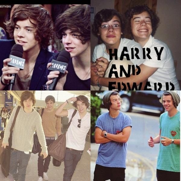 Harry Styles Twin