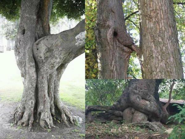 kuikel_tek's tweet photo. Have a glance!! How Nature are also being a Bad Karma.? http://t.co/aC9eq1Cs