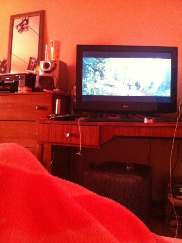 Sindie van Rensburg tweet media