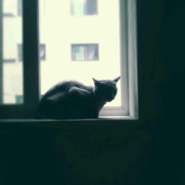 _Lenapark tweet picture