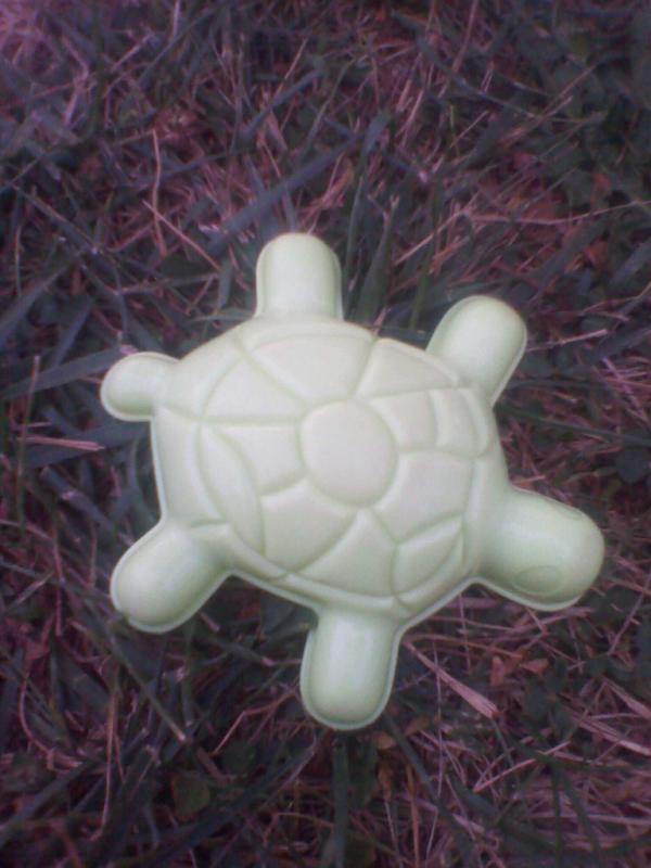 TheFangirlJann's tweet photo. I found a turtle and it reminded me of @Real_Liam_Payne ...just saying x) #PlasticTurtle http://t.co/7tAUSfKl