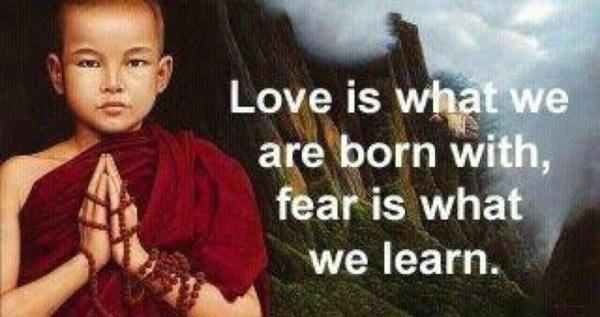 JM_Stationers's tweet photo. Love is what you are born with. Fear is what you learn. http://t.co/G5SfgqiX