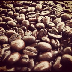 pildalt's tweet image. #Allnatural #morningstyle