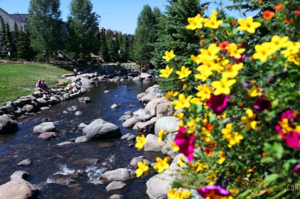sjackie96's tweet photo. @Phillips Yes, Colorado is beautiful!!! http://t.co/eNNCrAUO