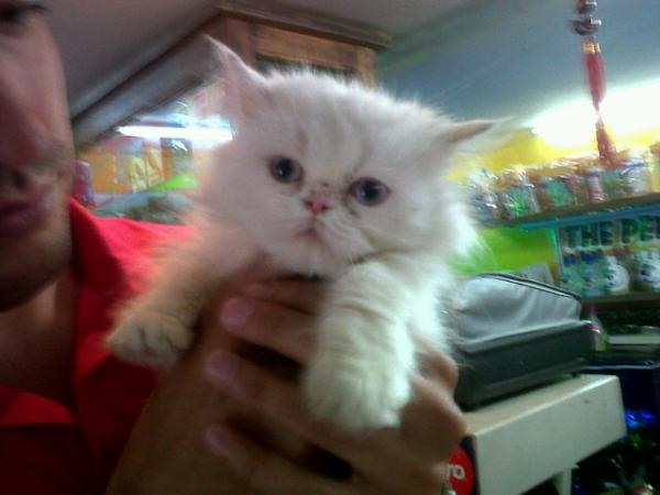 SrtCaqueta2011's tweet photo. Les presento mi hijo http://t.co/29KETwX2