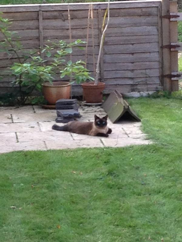 QueenMushy's tweet photo. Just chillin'....killin' http://t.co/Y4k6Pqmz