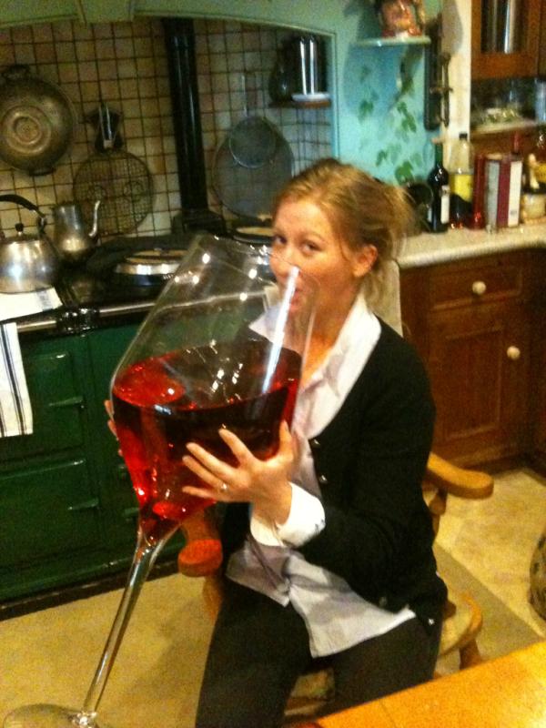 EllieBardwell's tweet photo. After a long day you just need to kick back with a good book and 17 pints of wine. http://t.co/H2wkekV2