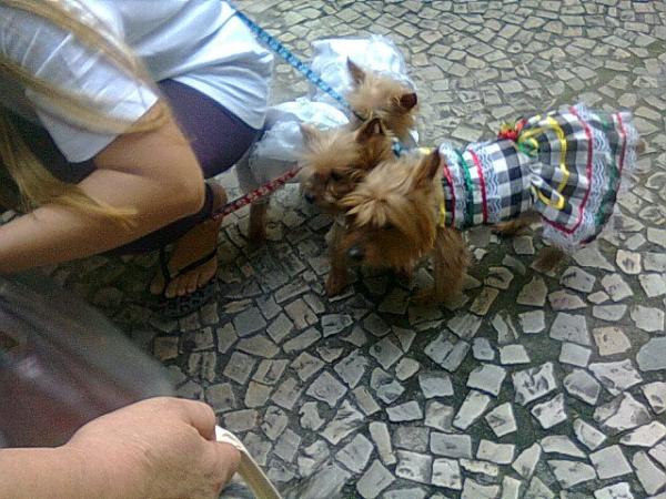 PetStoreCatete's tweet photo. http://t.co/ruDULmEJ