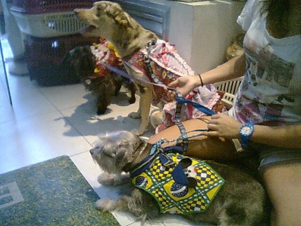 PetStoreCatete's tweet photo. http://t.co/MDxQU6yW