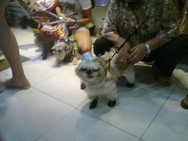 PetStoreCatete's tweet photo. http://t.co/dYX7657i