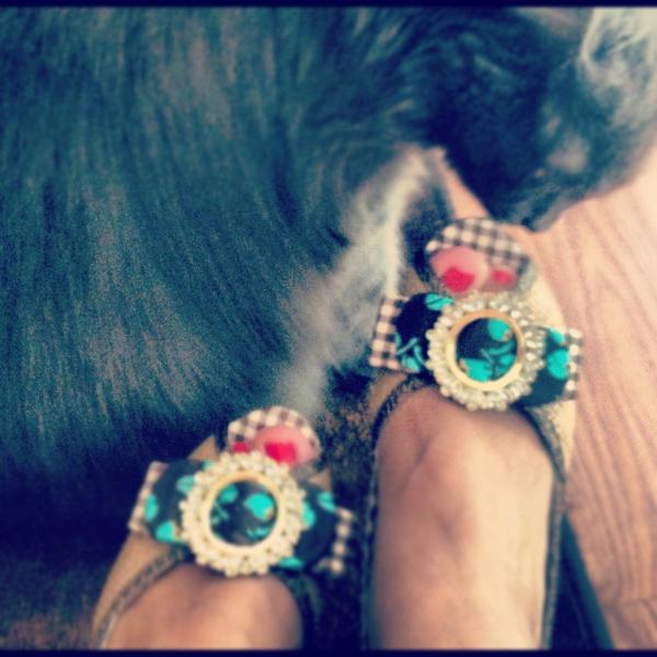 mycutecats's tweet photo. @mycutecats  Gia loves my shoes too!! http://t.co/LSR2EPCC