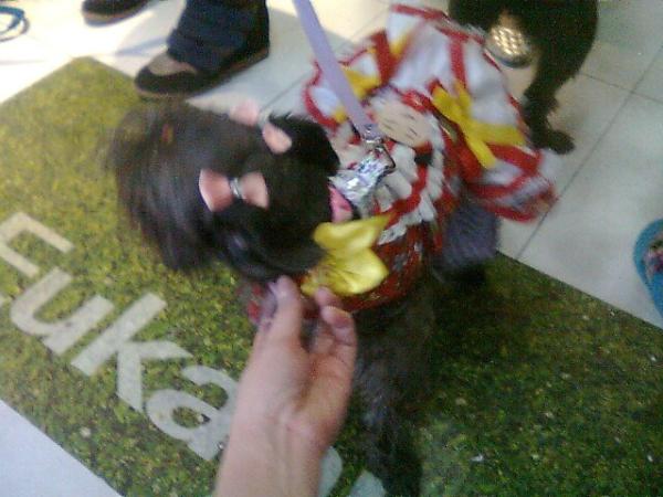PetStoreCatete's tweet photo. http://t.co/qX7ImXlB