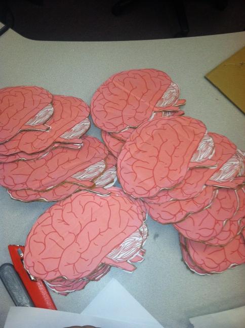 cppMVTV's tweet image. Why do we have 30 cardboard brains in our office? Stay tuned for the next week to find out!