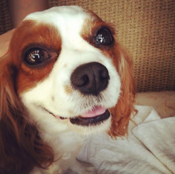 NormandieLin's tweet photo. Smile (^_^) http://t.co/caFE004Z http://t.co/rkIBqD1D