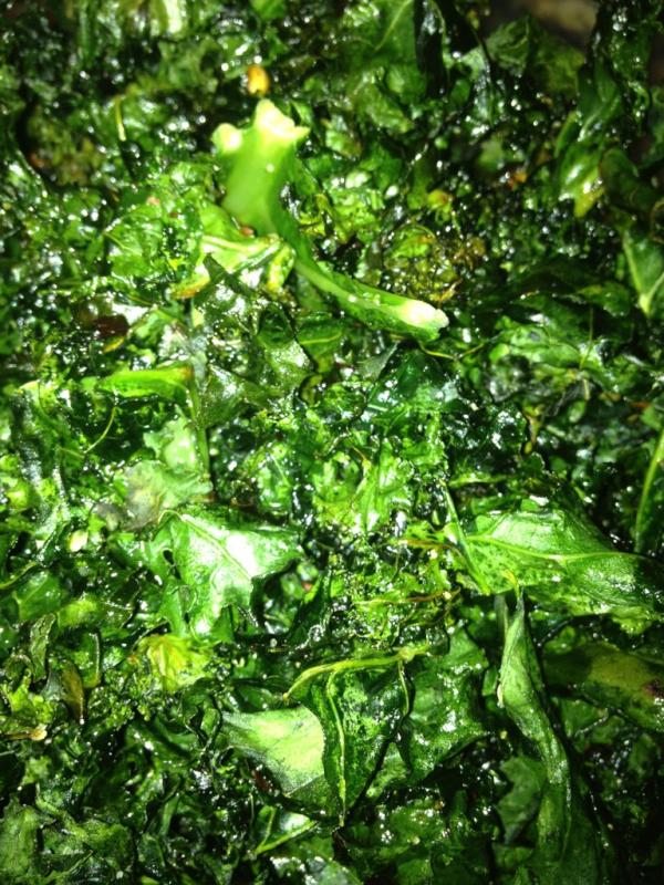 kims120's tweet photo. @cheriefields just made the kale chips! I think they are going to be a new favorite. http://t.co/KBmcERRu