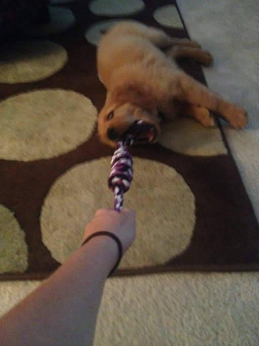 Awwww http://t.co/UGseBP5N